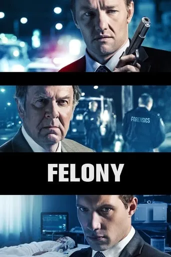 Felony movie poster - Rated 5.7/10