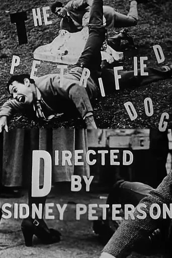 The Petrified Dog movie poster - Rated 5.3/10