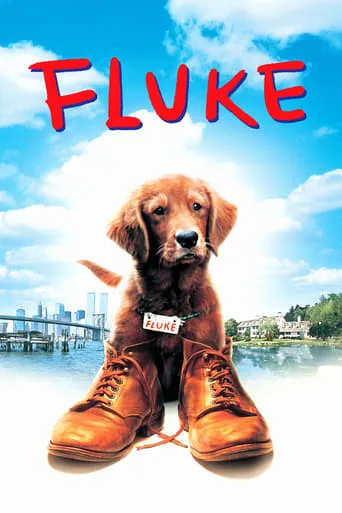 Fluke movie poster - Rated 7.1/10