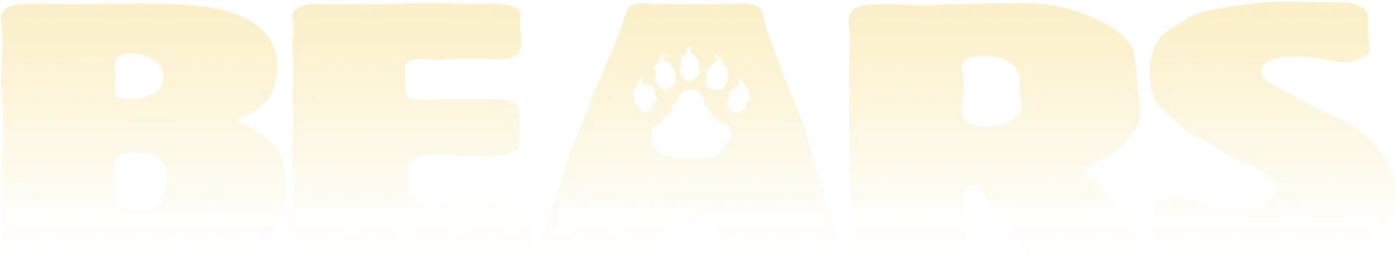 Bears