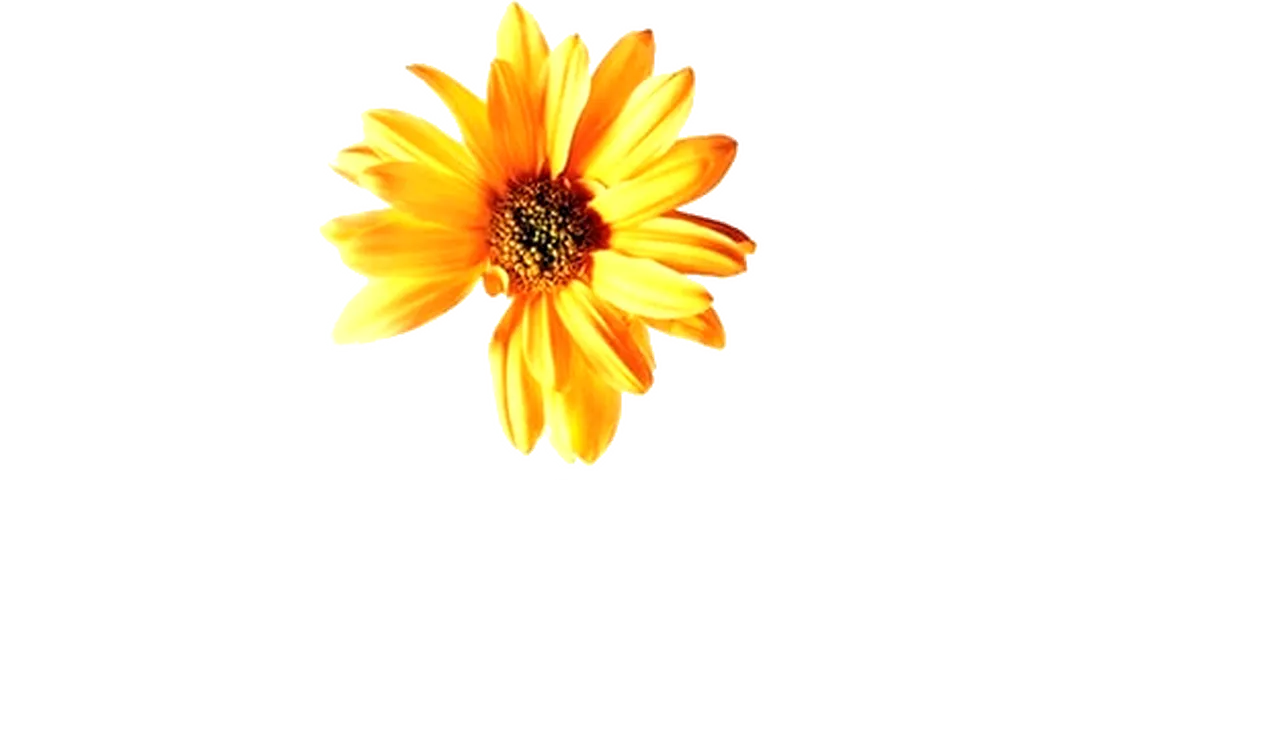 Hope Springs