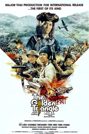 The Golden Triangle movie poster - Entertainment content
