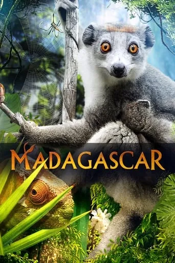 Madagascar 3D movie poster - Rated 5.5/10