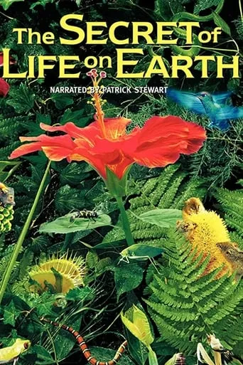 The Secret of Life on Earth movie poster - Rated 6/10