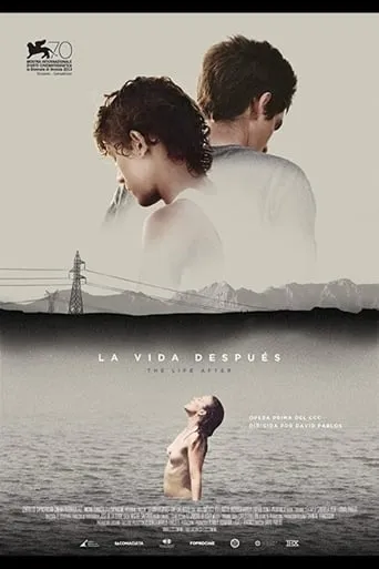 The Life After movie poster - Rated 5.5/10