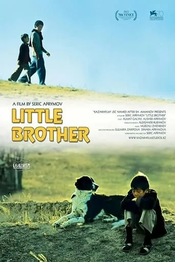 Little Brother movie poster - Rated 10/10