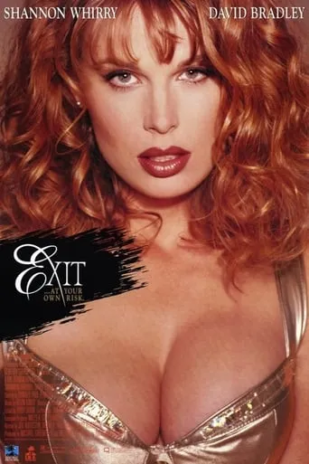 Exit movie poster - Rated 5.2/10