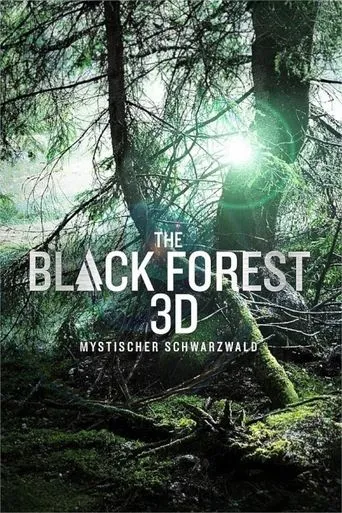The Black Forest - Mystischer Schwarzwald movie poster - Entertainment content