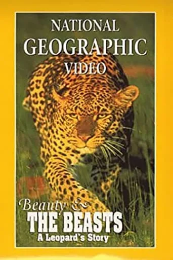 Beauty and the Beasts: A Leopard's Story movie poster - Entertainment content