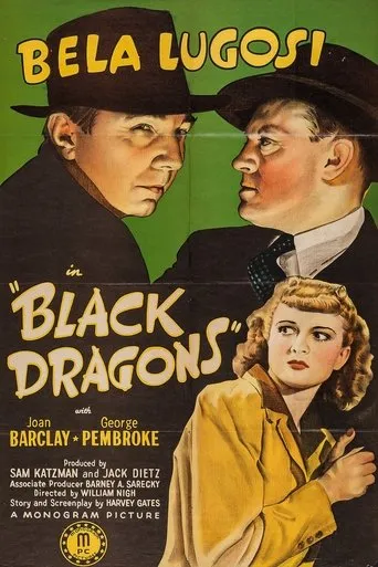 Black Dragons movie poster - Rated 4.72/10