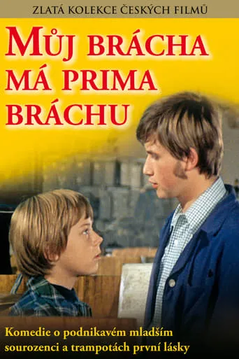 My Brother Has a Cute Brother movie poster - Rated 5.9/10