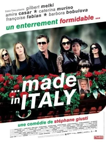 Made in Italy movie poster - Rated 5.5/10