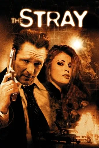 The Stray movie poster - Rated 4.1/10