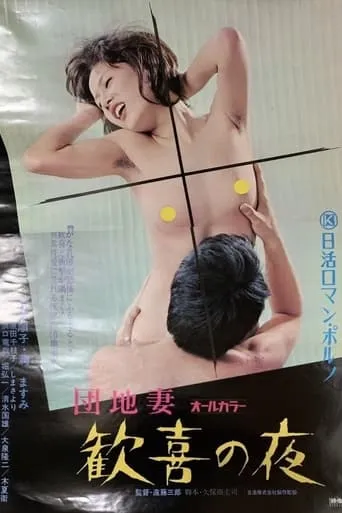 Apartment Wife: Night of Pleasure movie poster - Rated 10/10