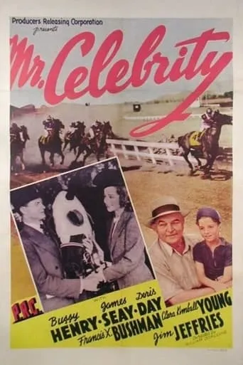 Mr. Celebrity movie poster - Rated 4/10
