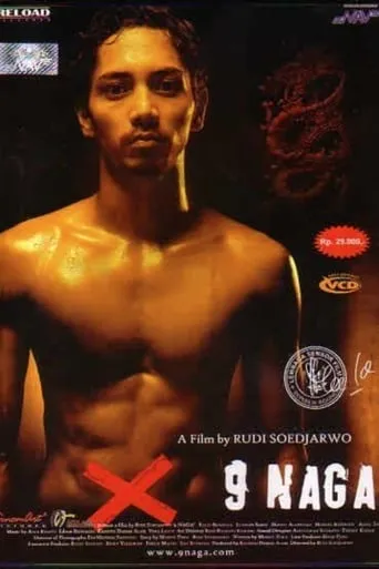 The Nine Dragon movie poster - Rated 8/10