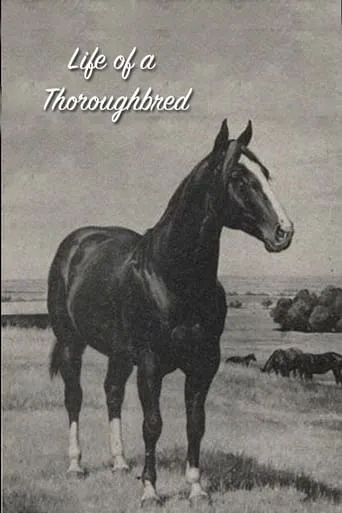 Life of a Thoroughbred movie poster - Rated 7/10