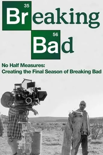 No Half Measures: Creating the Final Season of Breaking Bad movie poster - Rated 8.5/10