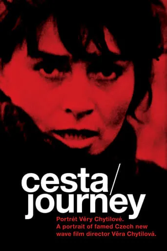 Journey: Portrait of Věra Chytilová movie poster - Rated 4/10