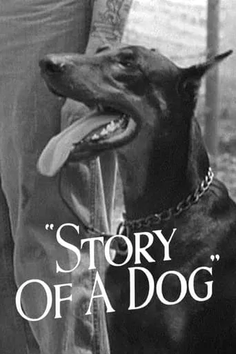 Story of a Dog movie poster - Rated 5.6/10