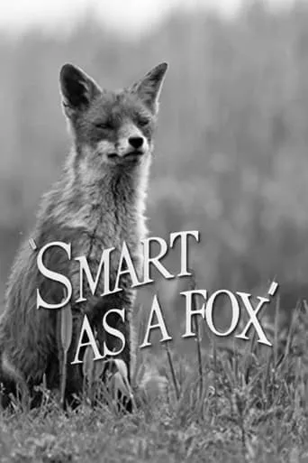 Smart as a Fox movie poster - Rated 5.2/10