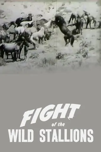 Fight of the Wild Stallions movie poster - Rated 5/10