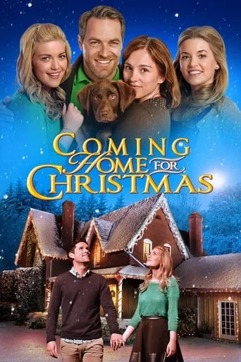 Coming Home for Christmas movie poster - Rated 5.3/10