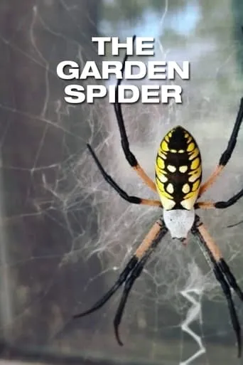The Garden Spider movie poster - Entertainment content