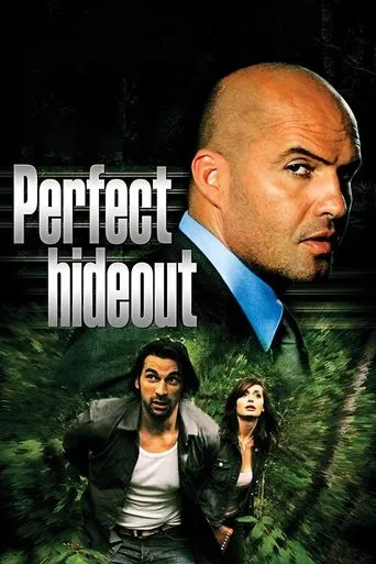 Perfect Hideout movie poster - Rated 4.5/10
