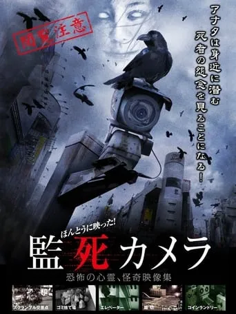 It Really Reflected! Captive Camera movie poster - Entertainment content