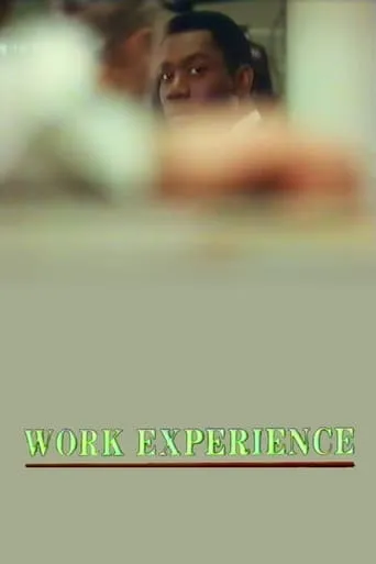 Work Experience movie poster - Rated 6.7/10