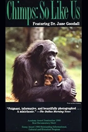 Chimps: So Like Us movie poster - Rated 6.3/10
