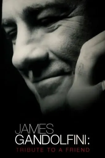 James Gandolfini: Tribute to a Friend movie poster - Rated 7.3/10