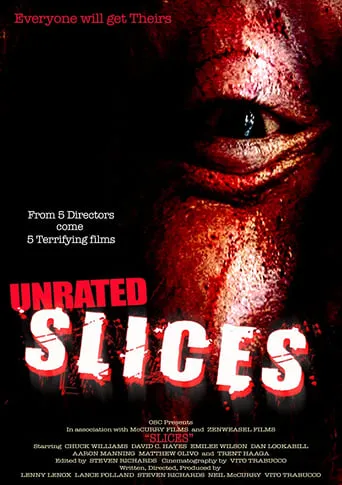 Slices movie poster - Rated 3.7/10