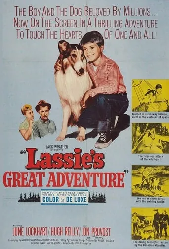 Lassie's Great Adventure movie poster - Rated 4.5/10