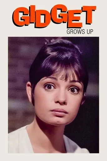Gidget Grows Up movie poster - Rated 6/10
