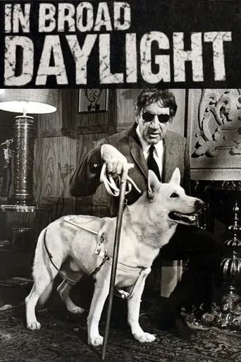 In Broad Daylight movie poster - Rated 5.8/10