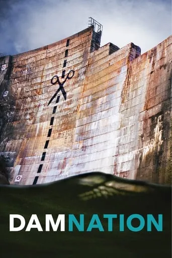 DamNation movie poster - Rated 6.7/10
