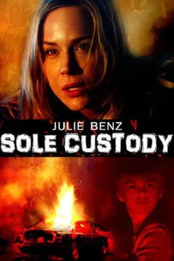 Sole Custody movie poster - Rated 8/10