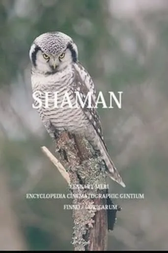 The Shaman movie poster - Entertainment content