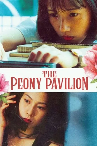 The Peony Pavilion movie poster - Rated 9.5/10