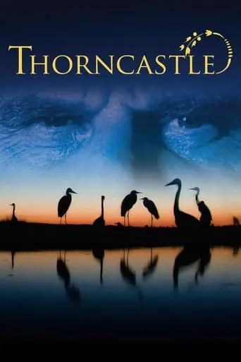 Thorn Castle movie poster - Rated 6/10