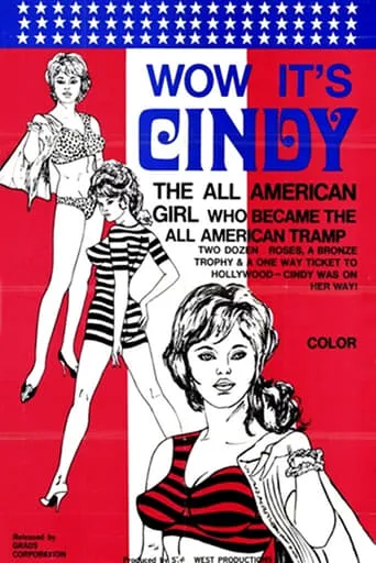 Wow, It's Cindy movie poster - Rated 6/10
