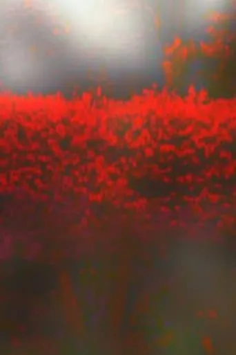 Burning Bush movie poster - Entertainment content