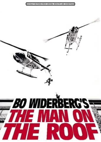 Man on the Roof movie poster - Rated 7.152/10