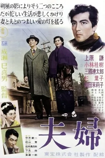Husband and Wife movie poster - Rated 6.6/10