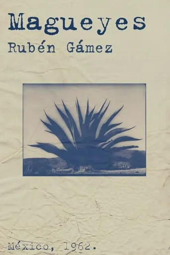 Magueyes movie poster - Rated 6.7/10