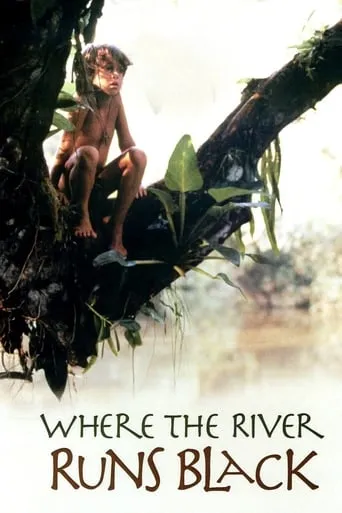 Where the River Runs Black movie poster - Rated 6.4/10