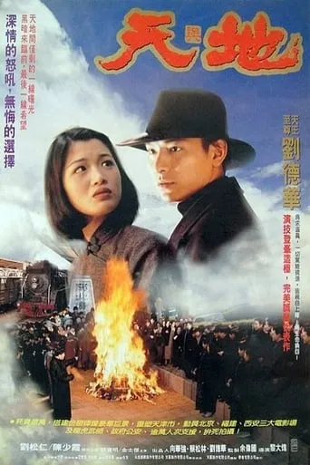 Heaven and Earth movie poster - Rated 6.8/10