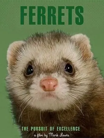 Ferrets movie poster - Entertainment content